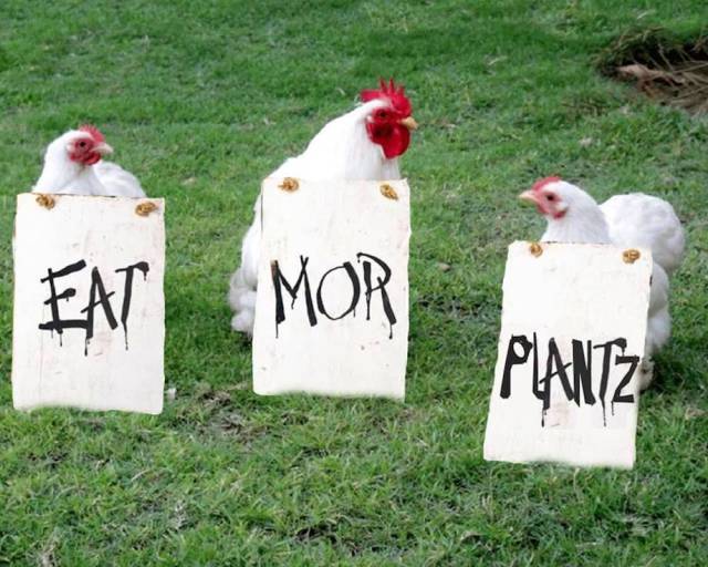 Daily Picdump [WEEKEND EDITION]