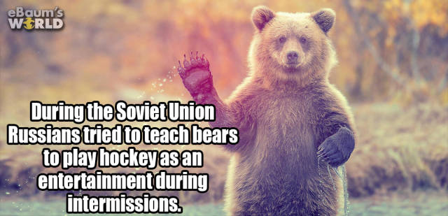 These Facts Are Here To Make Your Life Different