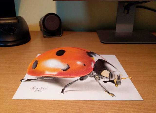 These 3D Arts Will Just Break Your Very Brain