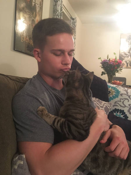 No One Can Hate Cats Forever!