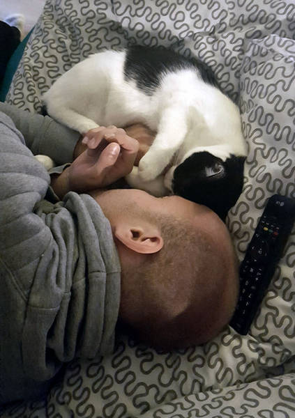 No One Can Hate Cats Forever!