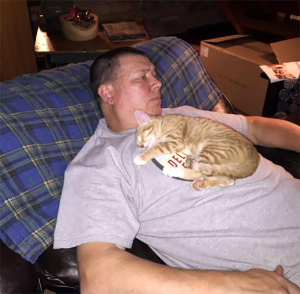 No One Can Hate Cats Forever!