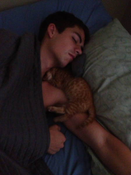 No One Can Hate Cats Forever!