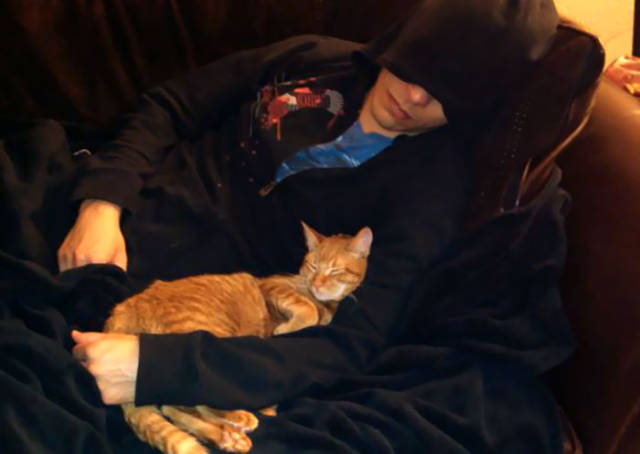 No One Can Hate Cats Forever!