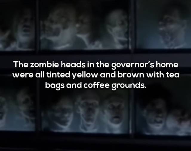 Not Brain-Dead Facts About “The Walking Dead”