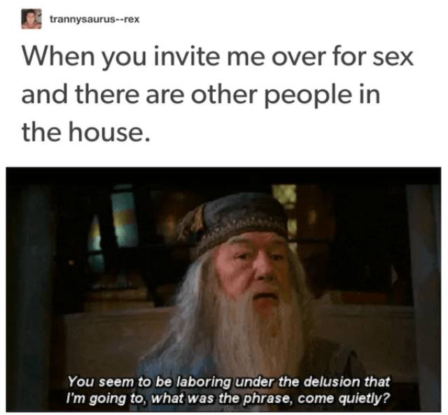 Tumblr Knows Everything About Sex. Kind Of