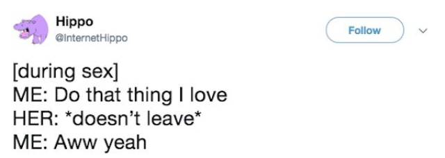 Sex Memes Are Yet Another Enjoyable Thing About Sex