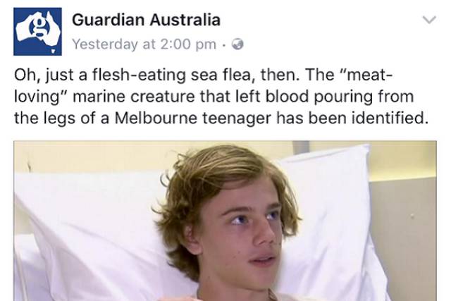 Australia: Yes Or No? Hard Decision!