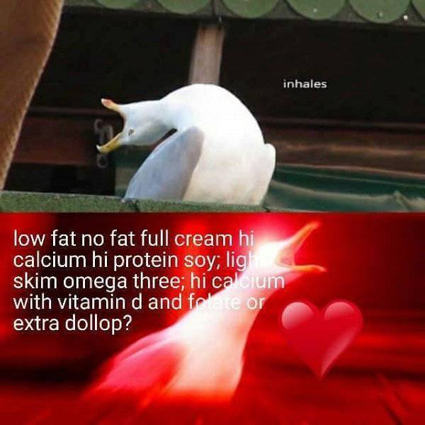 Australia: Yes Or No? Hard Decision!