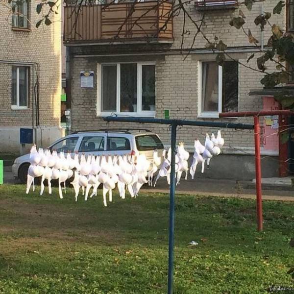 Modesty Is Something Unknown To These People