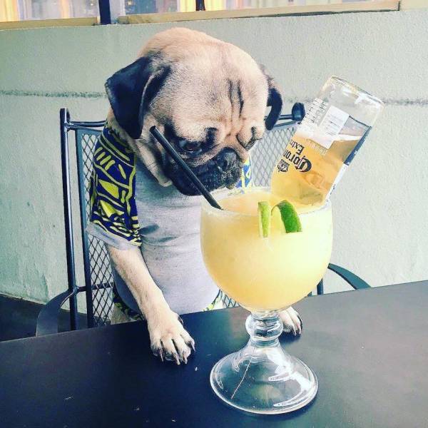 Daily Picdump [WEEKEND EDITION]