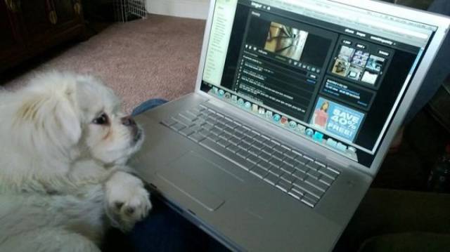 Comfort Is What We All Need