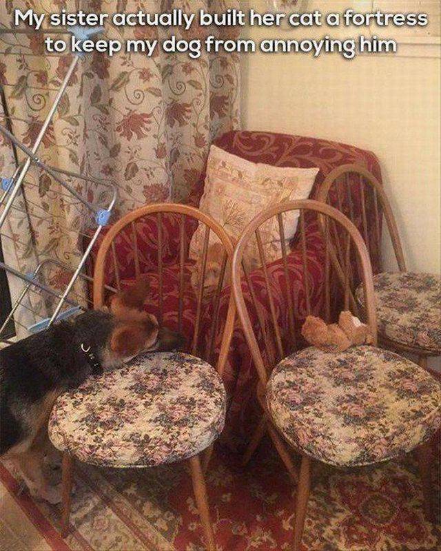 Daily Picdump [WEEKEND EDITION]