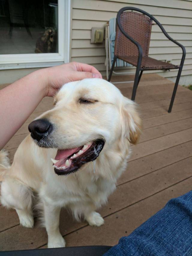 Jealousy Is Too Obvious Here