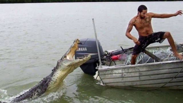 When Sh#t Is Literally Everywhere