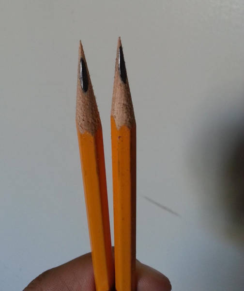 When Sh#t Is Literally Everywhere