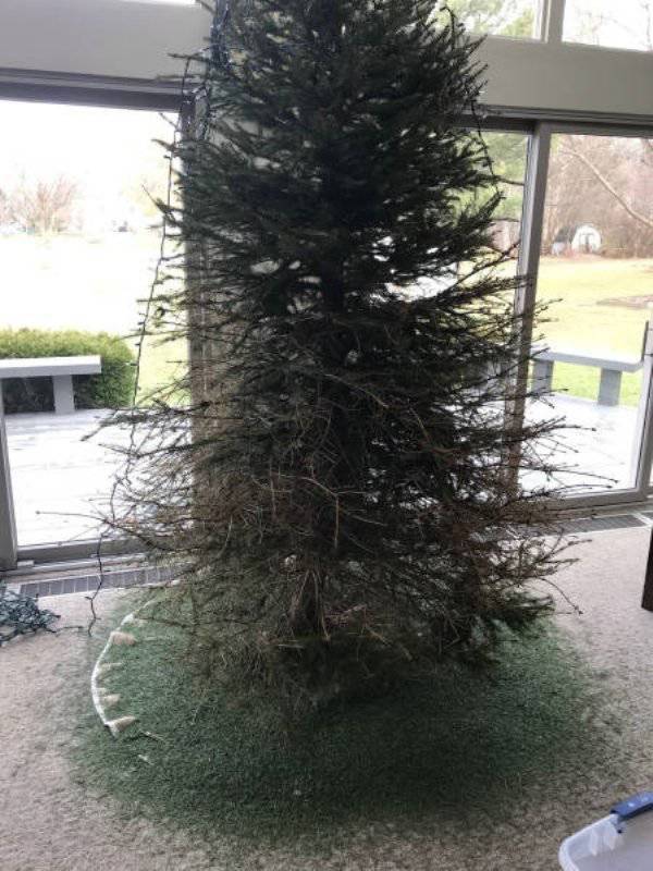 When Sh#t Is Literally Everywhere