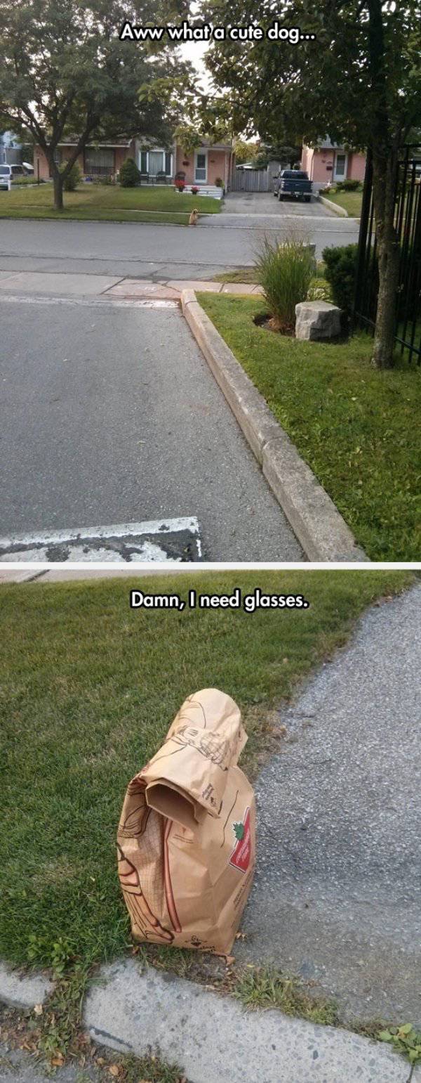 You Can’t Do Anything When Shit Is This Depressive