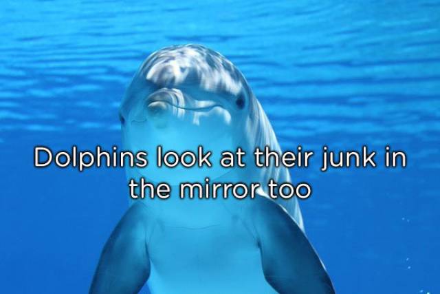 NSFW Facts You Should Probably Read Alone