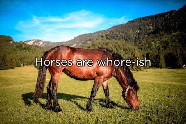 NSFW Facts You Should Probably Read Alone