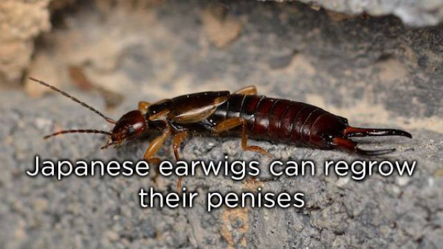 NSFW Facts You Should Probably Read Alone