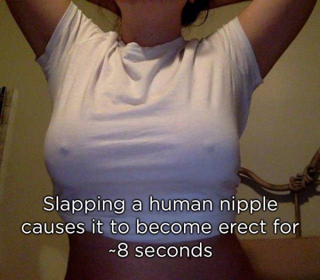 NSFW Facts You Should Probably Read Alone