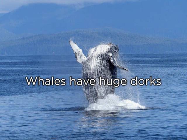 NSFW Facts You Should Probably Read Alone