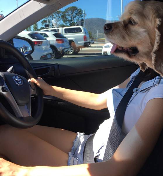 Daily Picdump [WEEKEND EDITION]