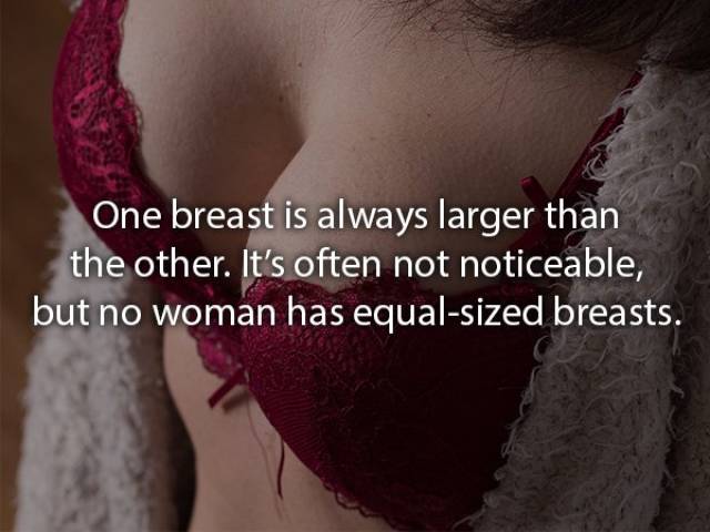 Facts About Women Which Don’t Make Them Any Less Mysterious