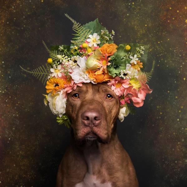 Daily Picdump [WEEKEND EDITION]