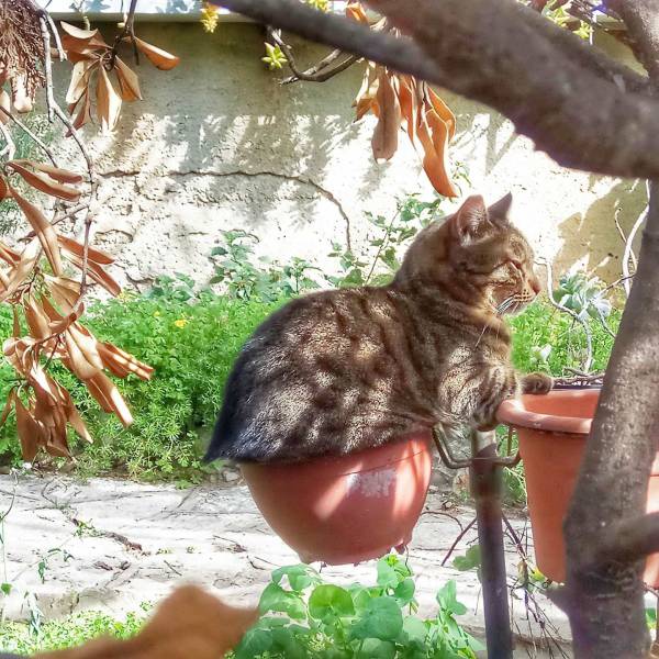 Daily Picdump [WEEKEND EDITION]