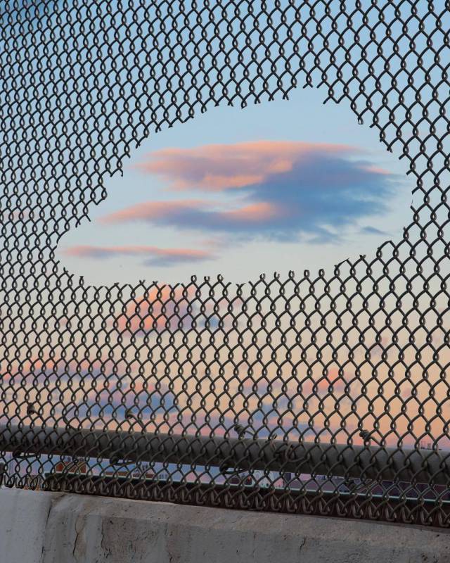 Daily Picdump [WEEKEND EDITION]