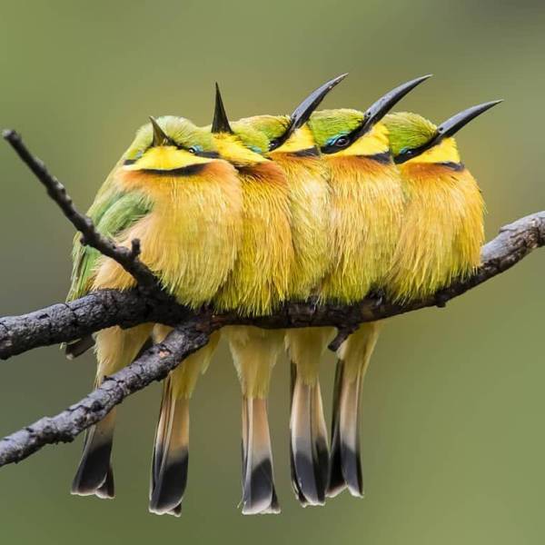 Daily Picdump [WEEKEND EDITION]