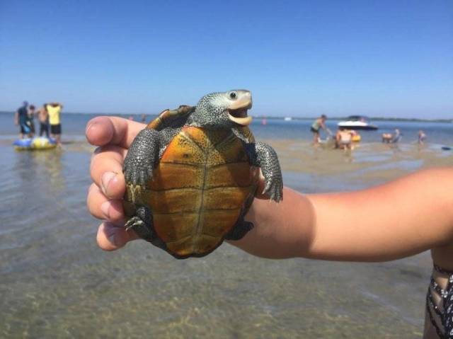 Daily Picdump [WEEKEND EDITION]