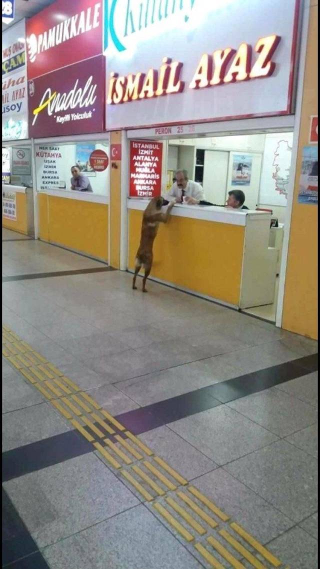 Daily Picdump [WEEKEND EDITION]