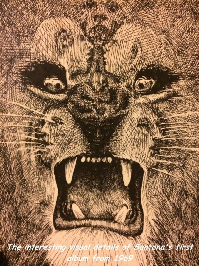 Daily Picdump [WEEKEND EDITION]