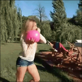 GIFs Of Stupidity At Its Finest