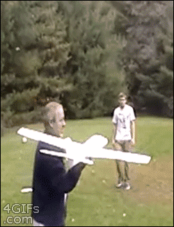 GIFs Of Stupidity At Its Finest