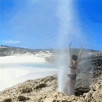 GIFs Of Stupidity At Its Finest
