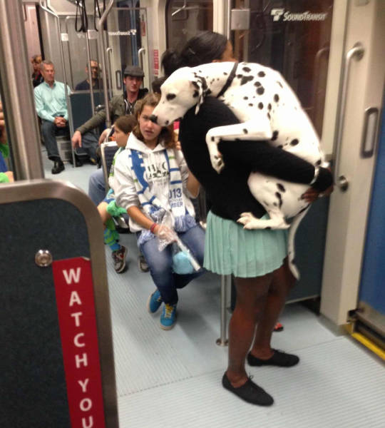 First Time Is Always The Sweetest