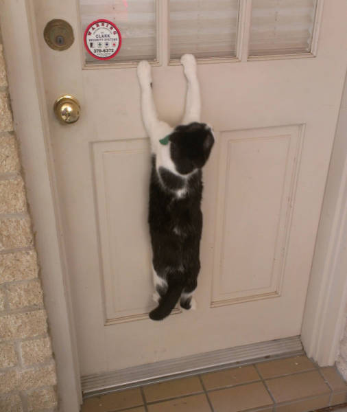 First Time Is Always The Sweetest