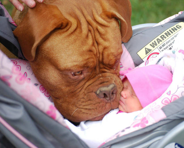 First Time Is Always The Sweetest