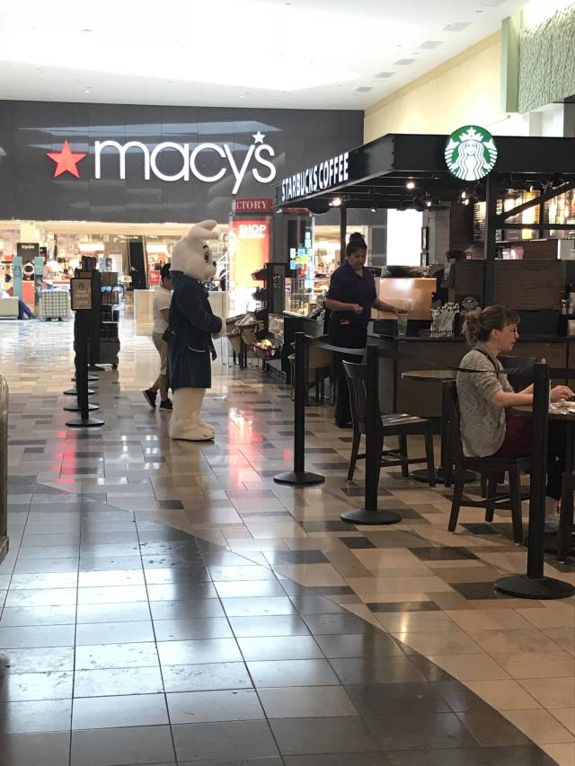 Daily Picdump [WEEKEND EDITION]