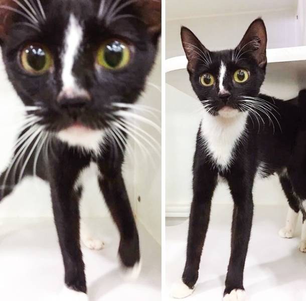 Some People Look So Differently – It’s Just Stunning