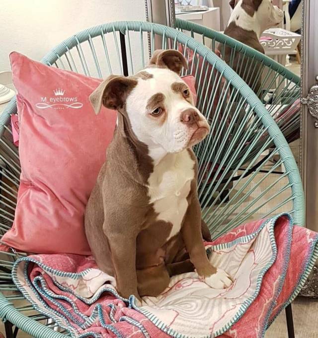 Daily Picdump [WEEKEND EDITION]