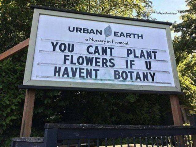 This Post Is Really Punny!