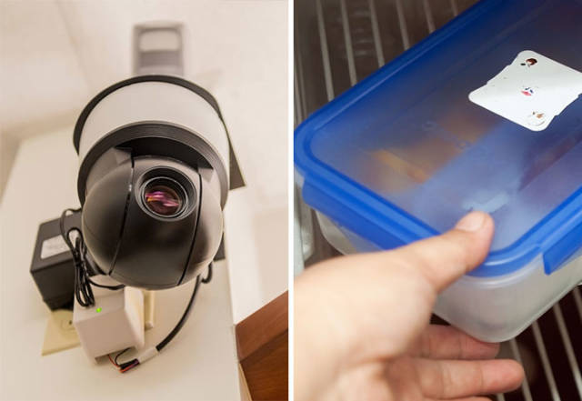 An Incredibly Dramatic Story About Lunch Being Stolen From An Office Fridge