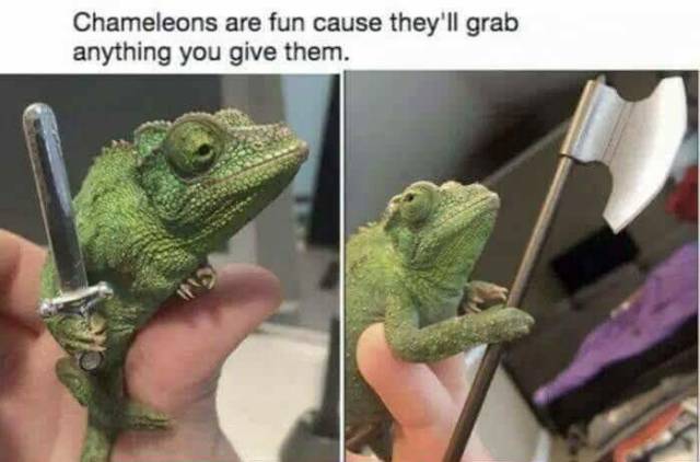 Daily Picdump [WEEKEND EDITION]