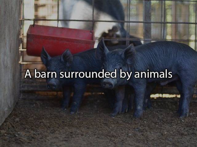 When People Want, They Will Have Sex Wherever They Are