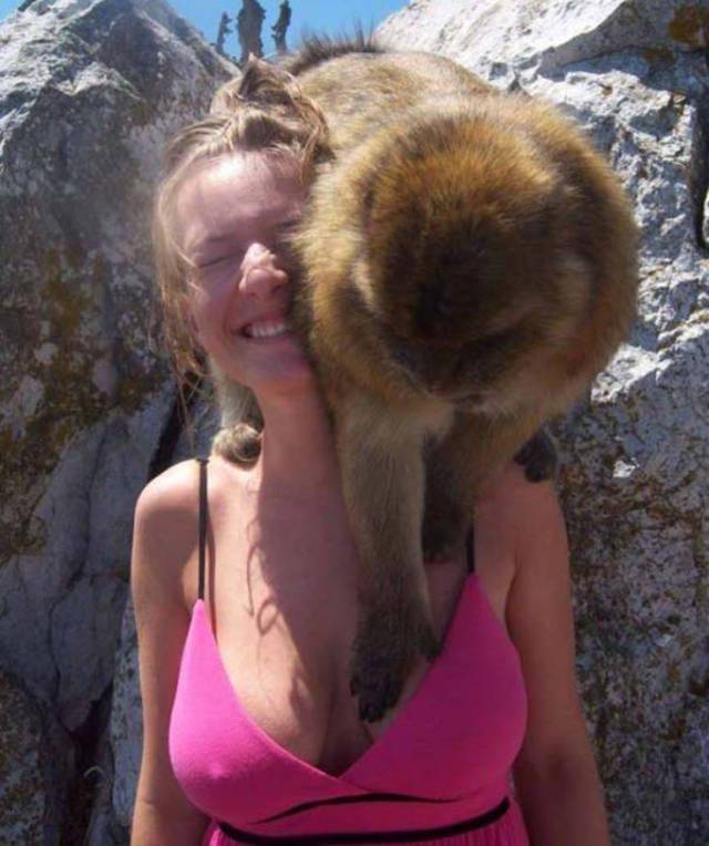 Girls Get a Little Bit Crazy